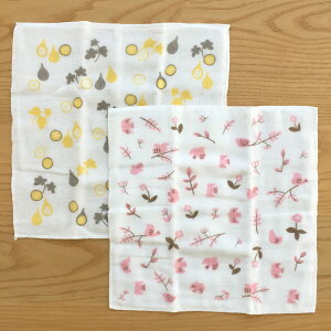 [_tf[P10{!] cD ӂӂ킪[ӂ2 G ʋC  z Ԃ @ nJ` g₷ ӂ  킢 @ Mtg v[g 䏊 q