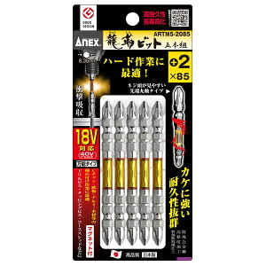 [10Gg[P10{!] ANEX xrbg 5{g {(vX) 2×85 ARTM5-2085