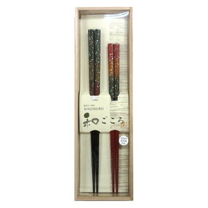 [|Cgő15{] E2Vg ˔ ˔Mtg  2Vg   vw Zbg ˔ ˔ ߂Ɣ j yA  H@Ή Mtg v[g 蕨 j pI H@