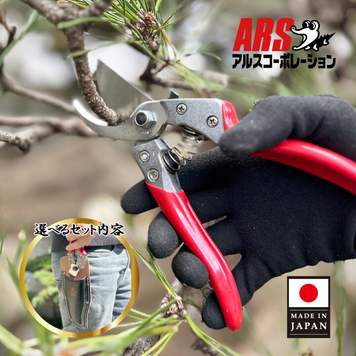 ガーデニングばさみ 剪定バサミ 園芸用」の人気商品一覧 | 安い商品を通販サイトから探す - 価格.com 園芸用剪定鋏 園芸用剪定鋏 果樹用剪定鋏 手動園芸工具 剪定工具と枝 花 バイパス剪定鋏