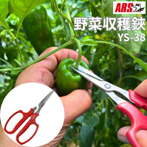 ؂̎n s[} イ IN n E  AX YS-38 XeX  h~ n E ͂ nT~ _  nEX   y g₷