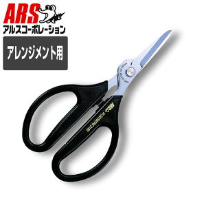 [10Gg[P10{!] nT~ y Ntg oh PPoh vX`bN C[  zr[  AX 3100-BK Ntg`LEAXk[{[_u 169mm ubN Ԑn