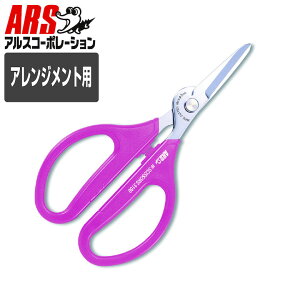 [10Gg[P10{!] nT~ y Ntg oh PPoh vX`bN C[  zr[  AX 3100-P Ntg`LEAXk[{[_u 169mm sN Ԑn