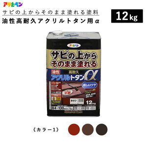 [9Gg[P10{!] yTȑォ炻̂܂ܓhւOKzK  ϋvANg^p 12kg S10F J[1 h ATqy