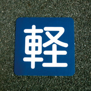 [|Cgő15{] AgnEXyCg tATC y 40cmxH40cm h yL DIY