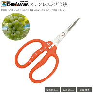 【刃細&目盛付き】 近正 ぶどう マスカット 鋏 B-500S ステンレス 軽量 目盛付き 葡萄 ブドウ 手入れ 摘…