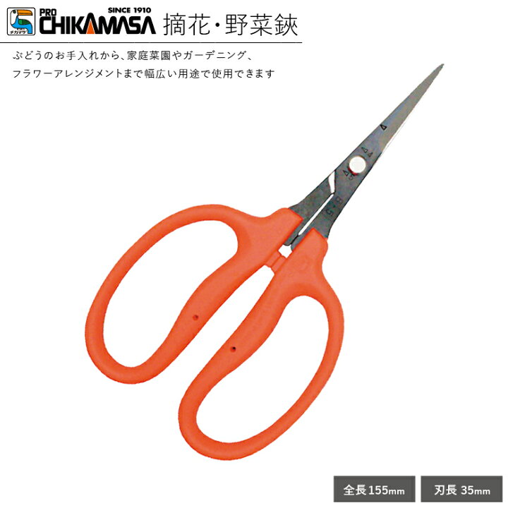 楽天市場 メール便送料無料 近正 チカマサ B 500h 摘果 野菜鋏 Jan ブドウ鋏 ブドウの手入れ 摘粒 収穫など ものうりばplantz 楽天市場 メール便送料無料 近正 チカマサ B 500h 摘果 野菜鋏 Jan ブドウ鋏 ブドウの手入れ 摘粒 収穫など ものうりばplantz