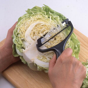 [Gg[P+5{]  Lxcs[[ Ƃ񂩂 ؂s[[ { Lxc ؂ ؂ꖡ ChTCY 卪 ʂ˂ XCX T_ Ep ނ 炦 ֗