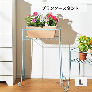 [|Cgő15{] v^[X^h St XNGAK[fX^h L u[