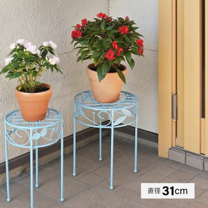 [|Cgő15{] t[X^h St e[uX^h a31cm u[