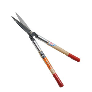 [10Gg[P10{!] hEJ ~j 0105   ͂ 荞݂΂ 荞 