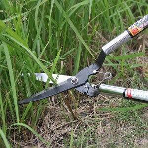 [|Cgő15{] hEJ Ub\[L^ G 0126 Ŋ Ŋ΂ ͂    G G 