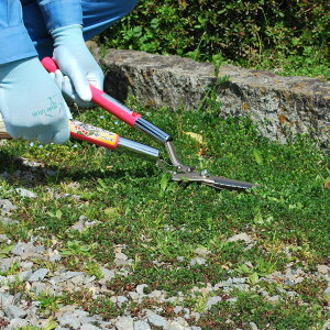 [|Cgő15{] hEJ Ub\[L^ sN bL^Cv 0129 Ŋ Ŋ΂ ͂    G G 