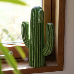 [|Cgő15{] DULTON _g T{e tFCN 27.5cm u IuWF  킢 i` O[ R