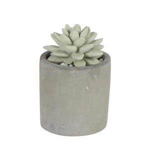 [|Cgő15{] DULTON _g fBt[U[ AGtOXfBt[U[ A gQ