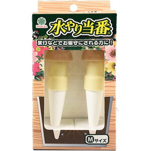 [10Gg[P10{!]V蓖 MTCY