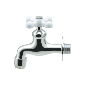 [|Cgő15{] At GA-RA011 GAONA KIi KAKUDAI JN_C