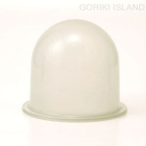 [|Cgő15{] pKX FR BR2131 g AeB[N ^J GORIKIISLAND(S[LACh)