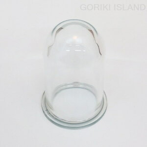 [|Cgő15{] pKX CLBR2060 g AeB[N ^J GORIKIISLAND(S[LACh)