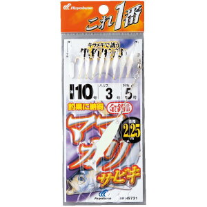 [|Cgő15{] nuT (Hayabusa) ނ d| TrL  }}JTrL  8{j HS731 7 nX2