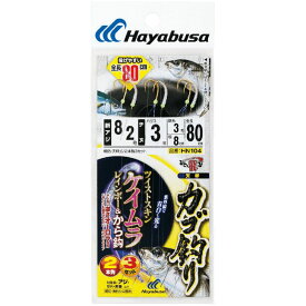 ハヤブサ (Hayabusa) 釣り 仕掛け サビキ ツイストケイムラレインボー&から鈎80cm2本鈎 HN104 9号/3号 ハリス4