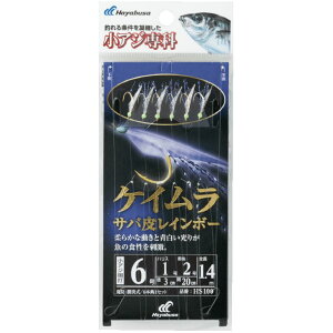 [9Gg[P10{!] nuT (Hayabusa) ނ d| TrL AW PCTo烌C{[ HS100 3 nX0.6