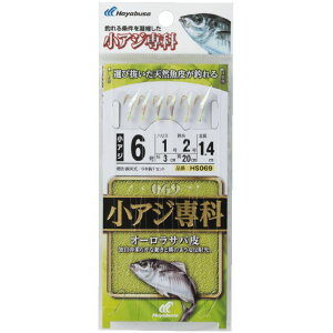 [|Cgő15{] nuT (Hayabusa) ނ d| TrL AW I[To HS069 6 nX1