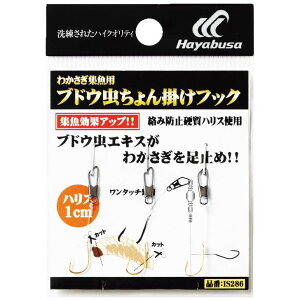 [10Gg[P10{!] nuT (Hayabusa) ނ d| ނj JTMWp uhE|tbN IS286 5 nX4
