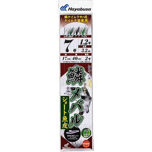 [10Gg[P10{!] nuT (Hayabusa) ނ d| ނj D ؃o V[g 7{b SD737 4 nX0.6