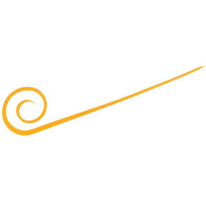 [|Cgő15{] nuT (Hayabusa) ނ d| t[XCh JX^VRlN^C J[[X SE164 uCgIW