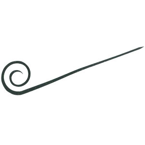 [|Cgő15{] nuT (Hayabusa) ނ d| t[XCh JX^VRlN^C J[[X SE164 ߂S[h