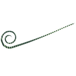 [|Cgő15{] nuT (Hayabusa) ނ d| t[XCh JX^VRlN^C J[[X SE164 O[O[[u