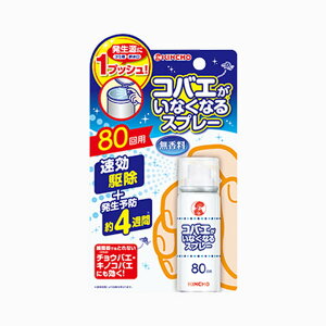 [10Gg[P10{!]  RoGȂȂXv[ 80 { h ΍   rO x_ 