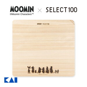 [Gg[P+5{] L ZNg100x[~ JbeBO{[h 230×210mm | H  ܂Ȕ V 䏊   LN^[ 킢 [~