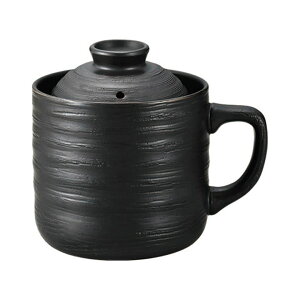 [10Gg[P10{!] T-01B dqWpѓ yV 