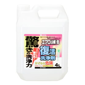 カンペハピオ 復活洗浄剤 エフロ用 4L