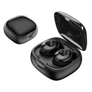 [|Cgő15{] SCX XeICz RpNg ubN Cz nYt[ I[fBI J[pi JV(Kashuimura)