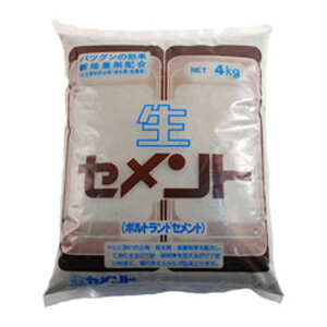 [10Gg[P10{!] ƒ뉻wH Zg 4kg O[