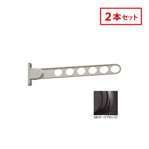 [|Cgő15{] Z zXN[ OǗp  ̂ق RK-65-DB 2{Zbg _[NuY RK^ 65cm Op  h[ lC