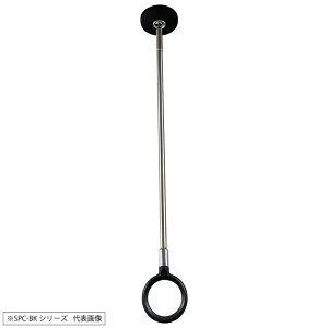 [|Cgő15{] Z zXN[ p  ̂ق SPC-BK 1{ SPC^ X^CbV ubN V X|bg^ WTCY p  h[ lC