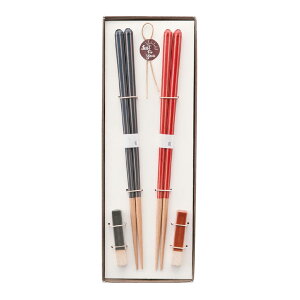 [_tf[P10{!] JC  VR Rێdl ׂ~߉H H@Ή { p Haze(wCY) 23cm u Zbg