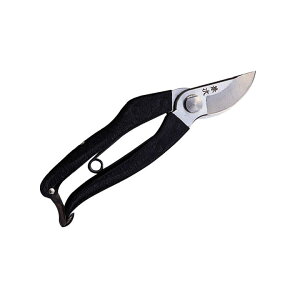 [10Gg[P10{!]   S[h V7 L{V GS S[fX^[ #2241