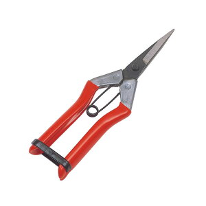 [10Gg[P10{!] 啟  L{V GS S[fX^[ #2286