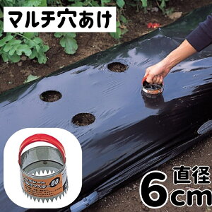 [Gg[P+5{] }` V[g  60mm | L{V }X^[ | ۉV[g L{V  #1720 }`V[g _ |  p`[ p`  핢