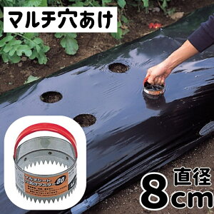 [Gg[P+5{] }` V[g  80mm | L{V }X^[ | ۉV[g L{V  #1721 }`V[g _ |  p`[ p`  핢