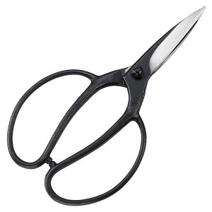 [|Cgő15{] L{V  #3637 V vpA nn 90mm ~-VV[Y