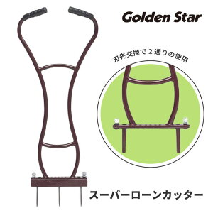 [9Gg[P10{!]  Ő GA[V ؂ X[p[[Jb^[ 4015 Ő S[fX^[ Golden Star |  | ŐGA[V @ ŐXpCN ŃXp
