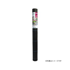 [_tf[P10{!] ͖hV[gubN3×100m L{V GS S[fX^[ #7215