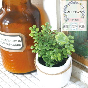 �L�V�} �~�j�O���X KH-60881 ���L�A�[�e�B�t�B�V�����O���[�� MINI GRASS ARTIFICIAL GREEN �t�F�C�N�O���[��