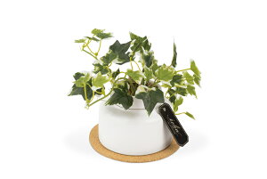 [Gg[P+5{] LV} GNA LA[eBtBVO[ ^Cv(M) ACr[ ECLIA KH-61252 ϗtA tFCN tFCNO[ lH L L CeA CeAG 